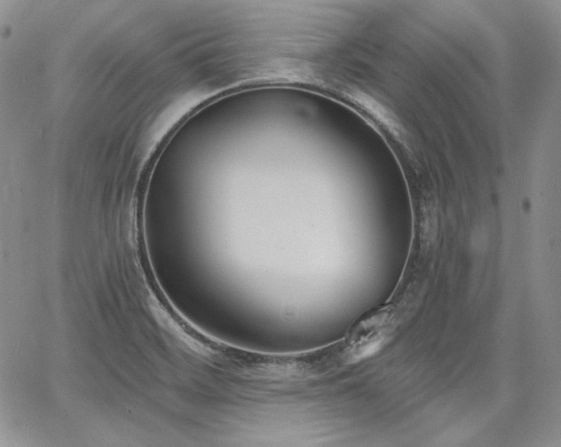 X0000068261468200604211032