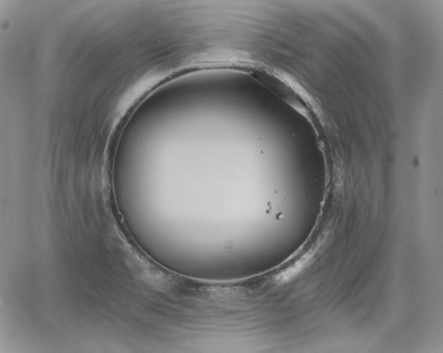 X0000068261469200604211032