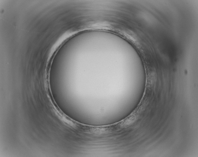 X0000068261470200604211032