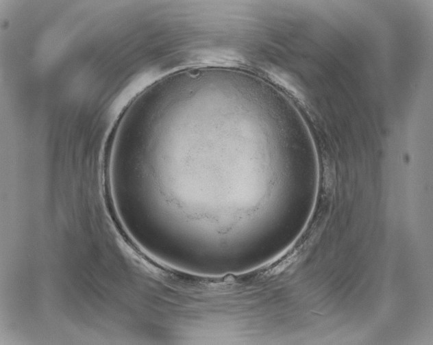 X0000068261471200604211032