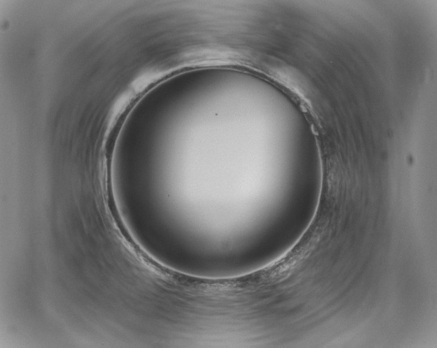 X0000068261472200604211032