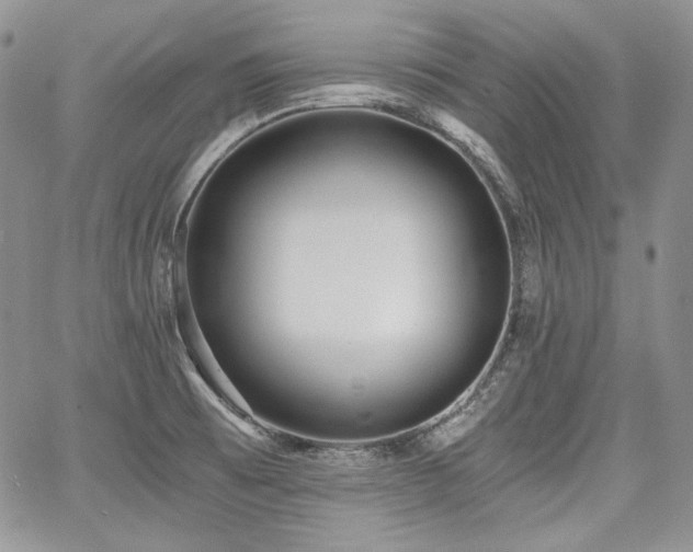 X0000068261473200604211032