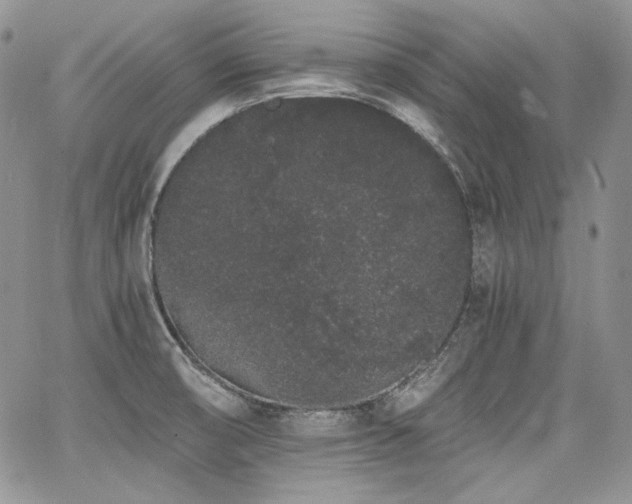 X0000068261474200604211032