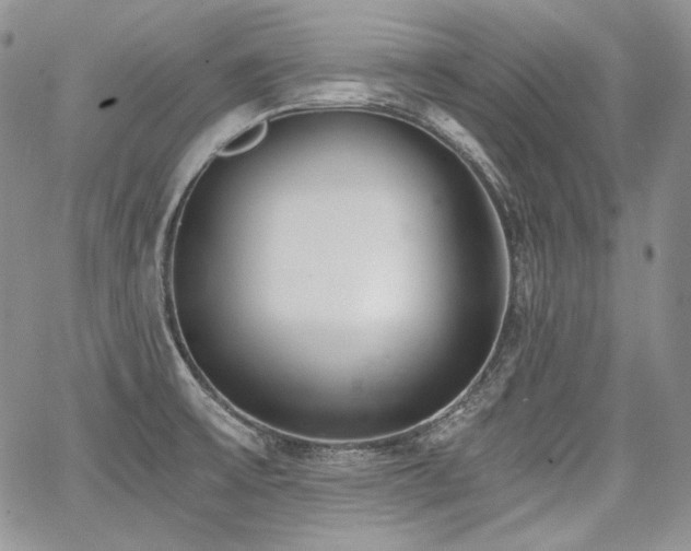 X0000068261475200604211032