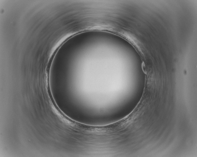 X0000068261476200604211032