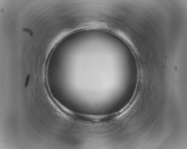 X0000068261477200604211032