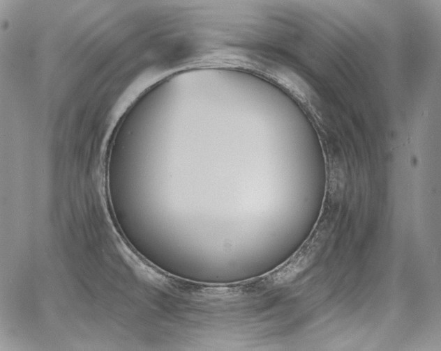 X0000068261478200604211032