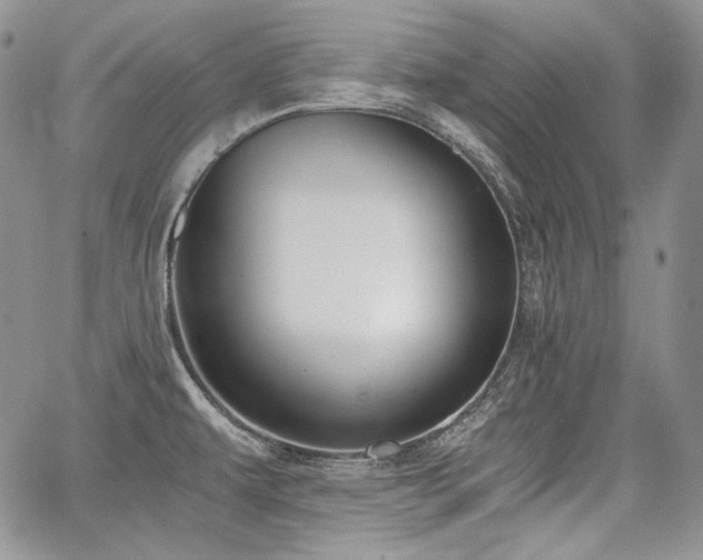 X0000068261479200604211032