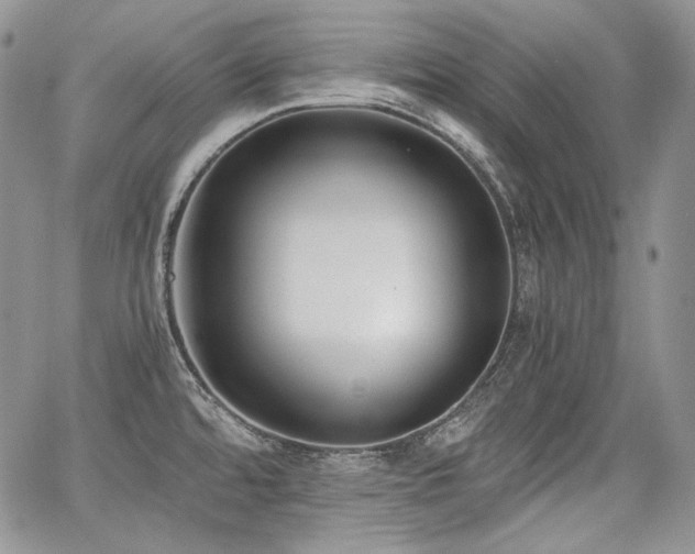 X0000068261480200604211032