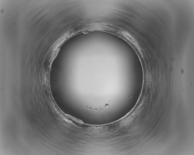 X0000068261481200604211032