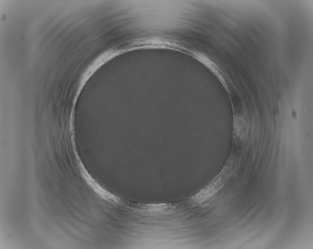 X0000068261482200604211032