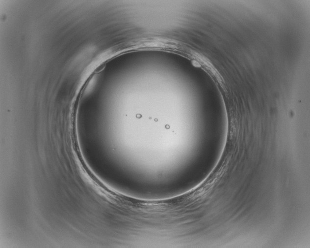 X0000068261483200604211032