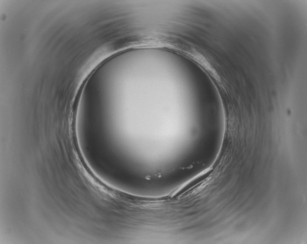 X0000068261484200604211032