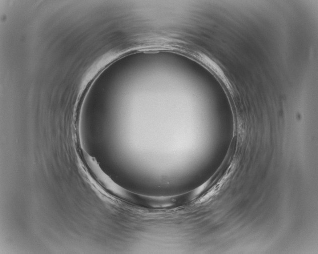 X0000068261485200604211032