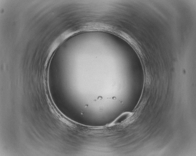 X0000068261486200604211032