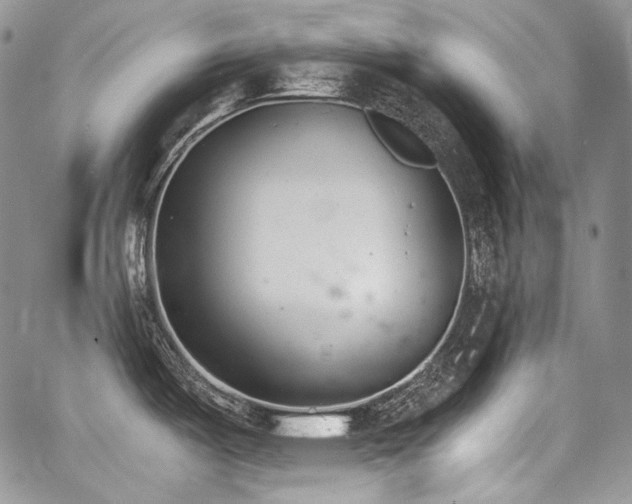 X0000068261487200604211032