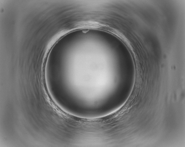 X0000068261488200604211032