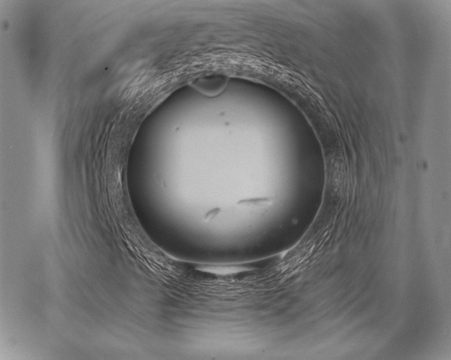 X0000068261489200604211031