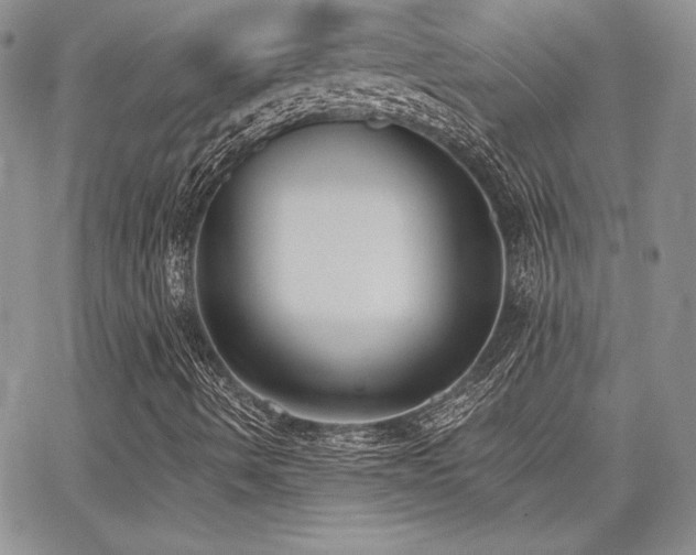 X0000068261490200604211031