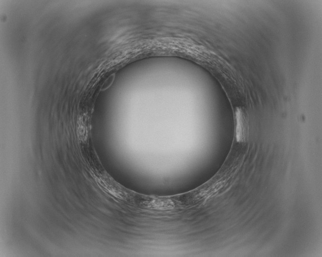 X0000068261491200604211031