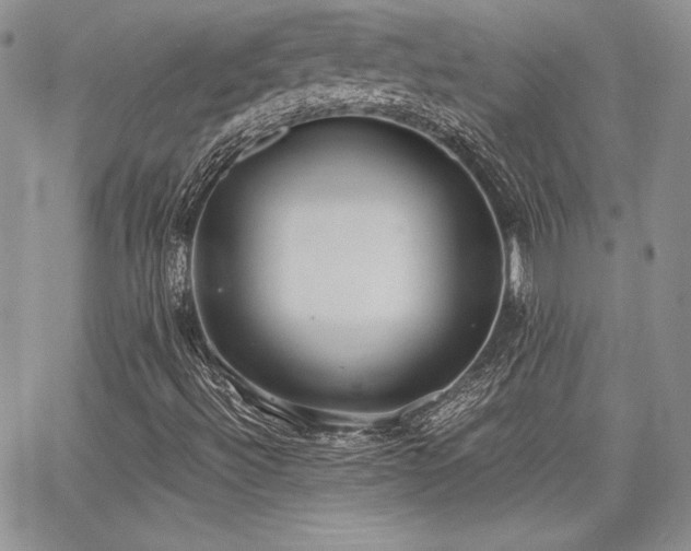 X0000068261492200604211031