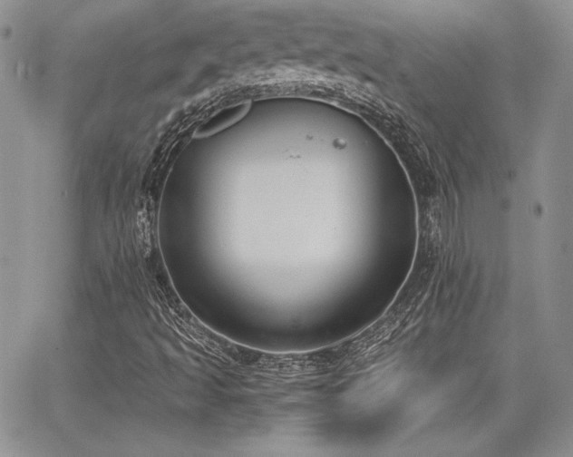 X0000068261493200604211031