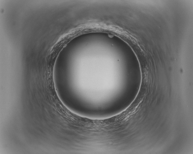 X0000068261494200604211031