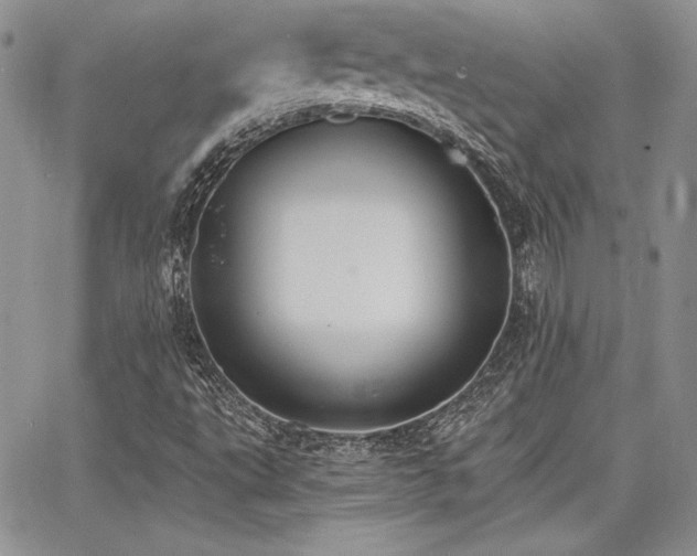 X0000068261495200604211031