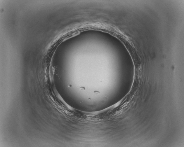 X0000068261496200604211031