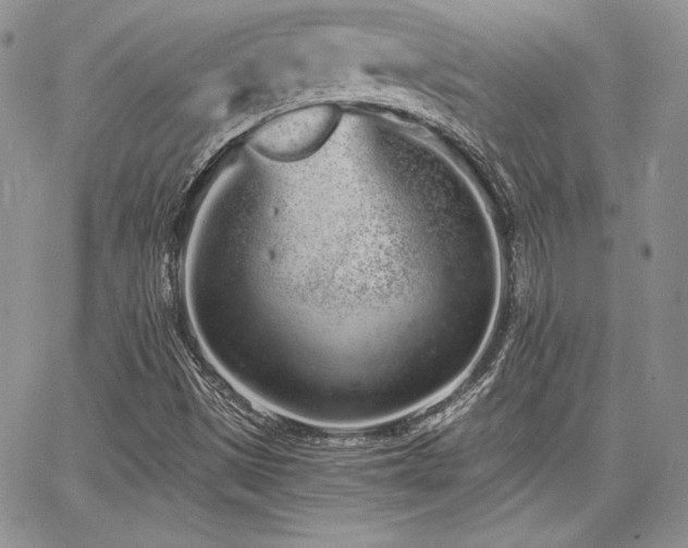 X0000068261497200604211031