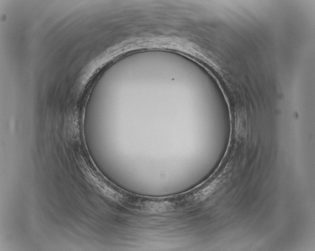 X0000068261498200604211031