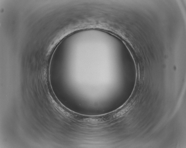 X0000068261500200604211031