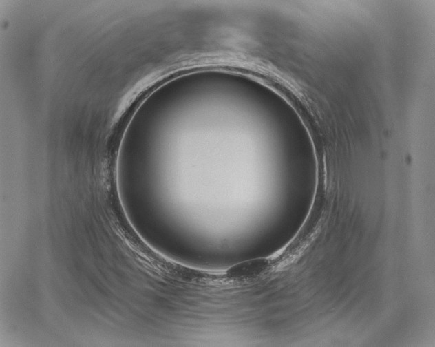 X0000068261501200604211031