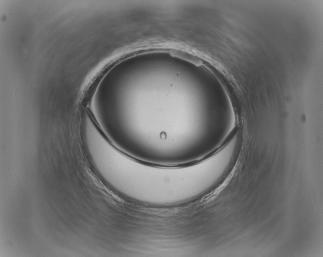 X0000068261502200604211031