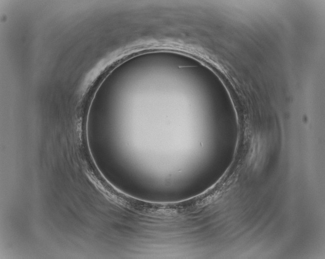 X0000068261503200604211031