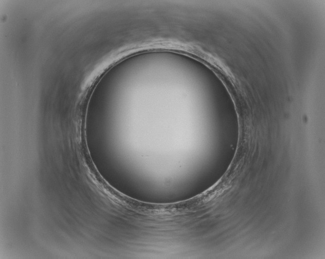 X0000068261504200604211031