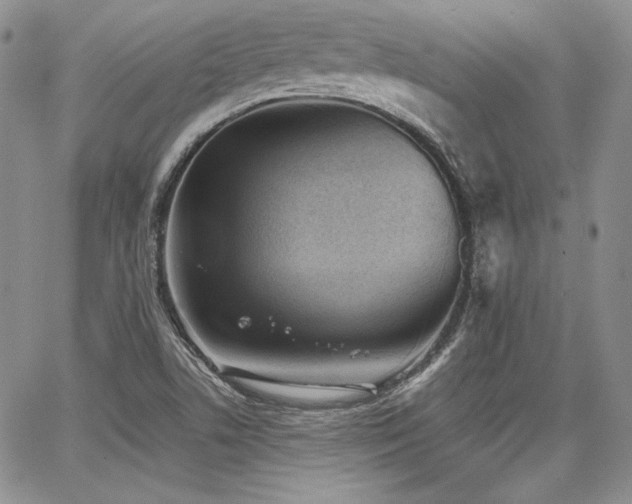 X0000068261506200604211031