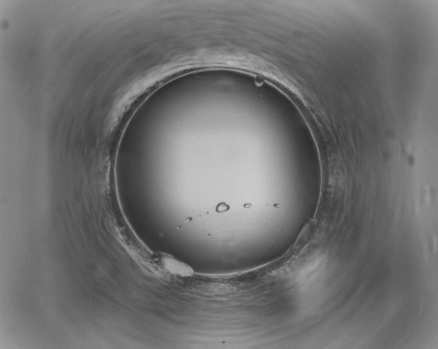 X0000068261507200604211031