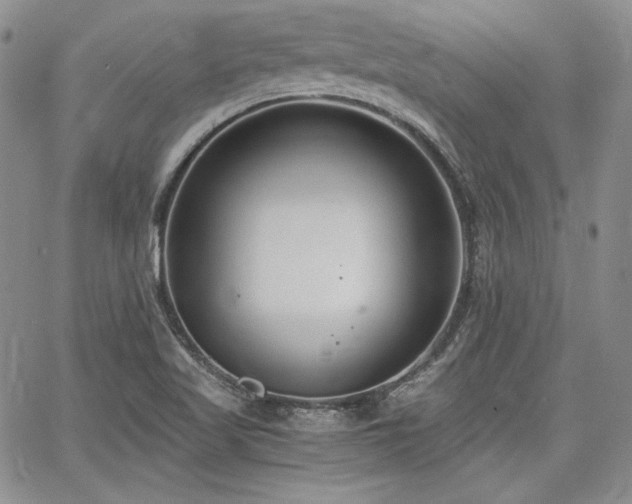 X0000068261509200604211031