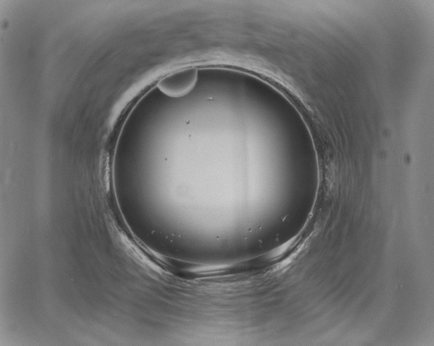 X0000068261510200604211031