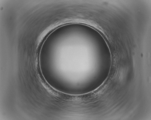 X0000068261511200604211031