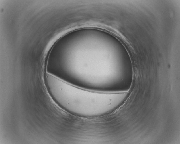 X0000068261512200604211031