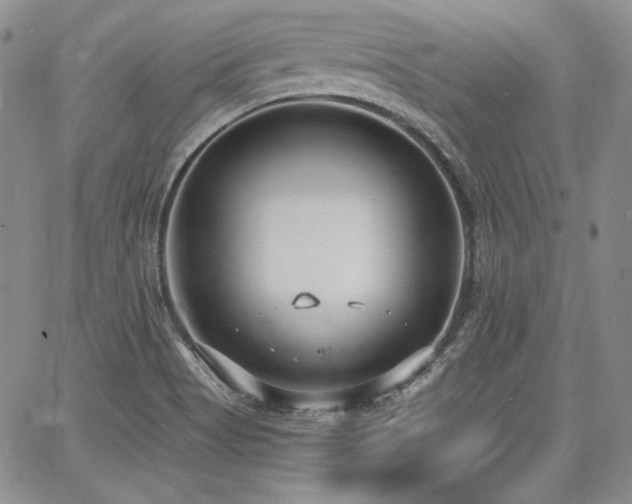 X0000068261513200604211031