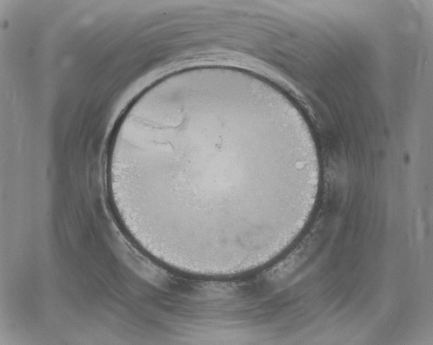 X0000068261514200604211031