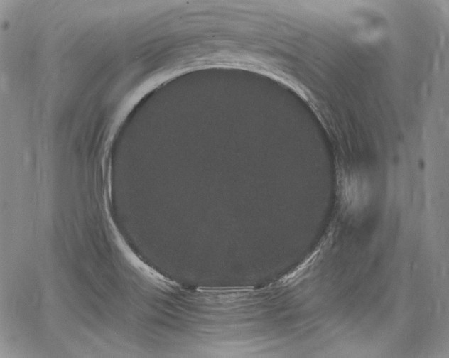 X0000068261515200604211031