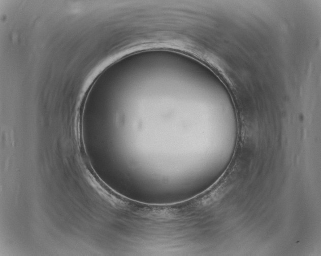 X0000068261516200604211031