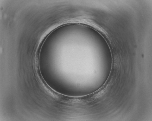 X0000068261517200604211031