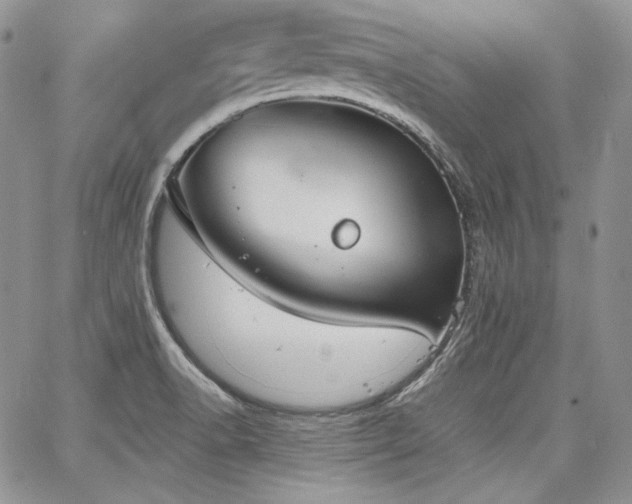 X0000068261518200604211031