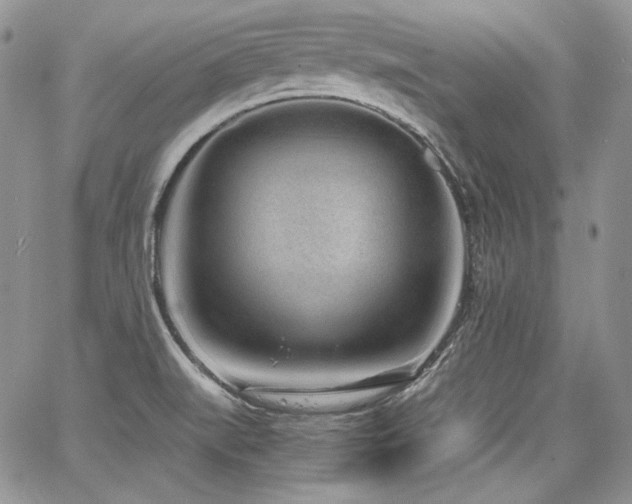 X0000068261519200604211031