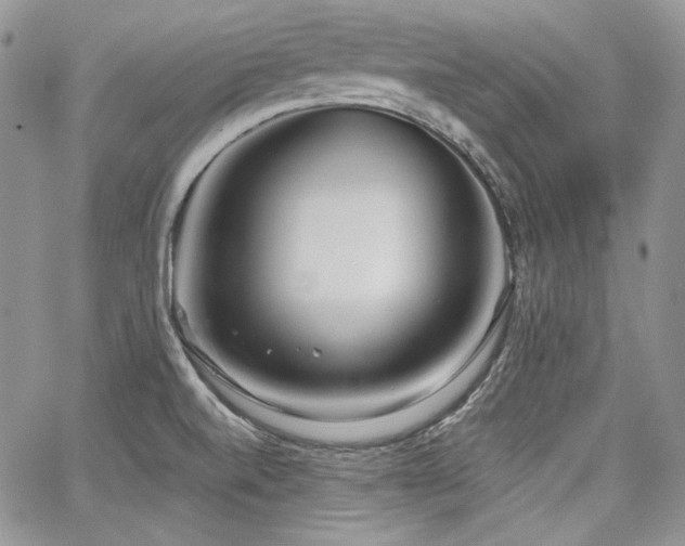 X0000068261520200604211031